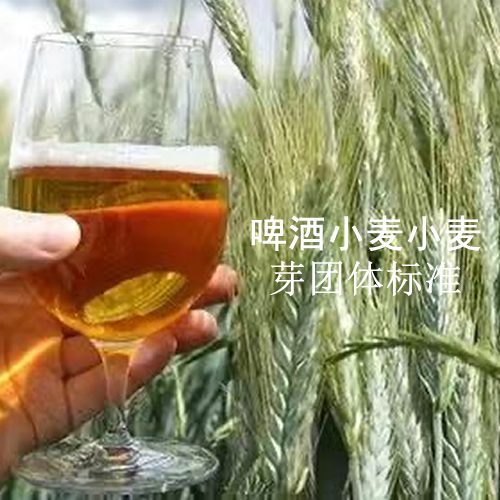 T/CBJ 3401《啤酒小麦》、T/CBJ 3402《啤酒小麦芽》团体标准批准发布