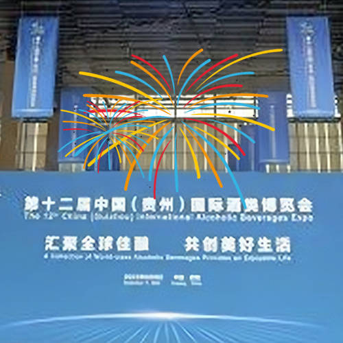 第十二届中国（贵州）国际酒类博览会开幕！
